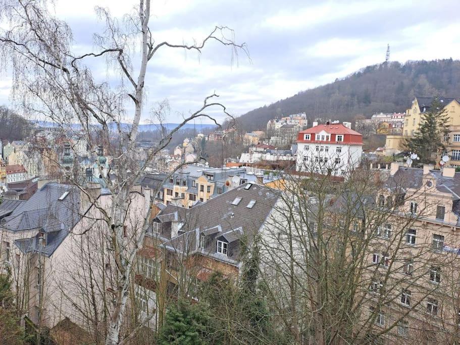Vila Historica Karlovy Vary Exteriér fotografie